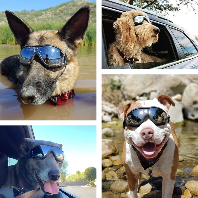 Cão óculos com alça ajustável, óculos pet, anti-nevoeiro, viagens, esqui, neve, médio a grande cão